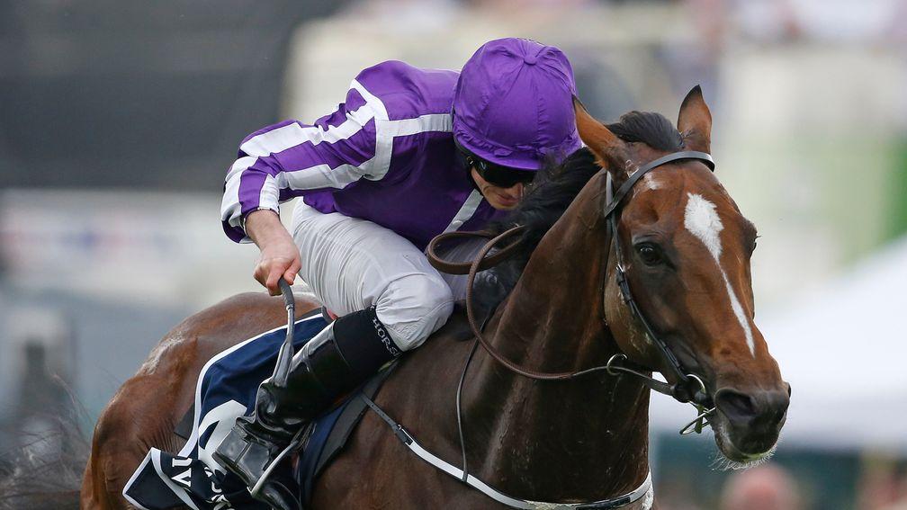 Highland Reel: money-spinner reverts back to ten furlongs for the first time since finishing seventh in last year's Irish Champion Stakes