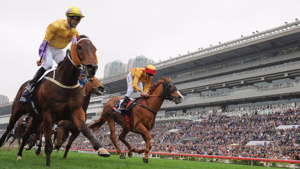 Peniaphobia (left), winning last year's Hong Kong Sprint, defends his title
