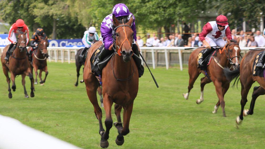 System wins the Empress Stakes under Pat Dobbs at Newmarket last month