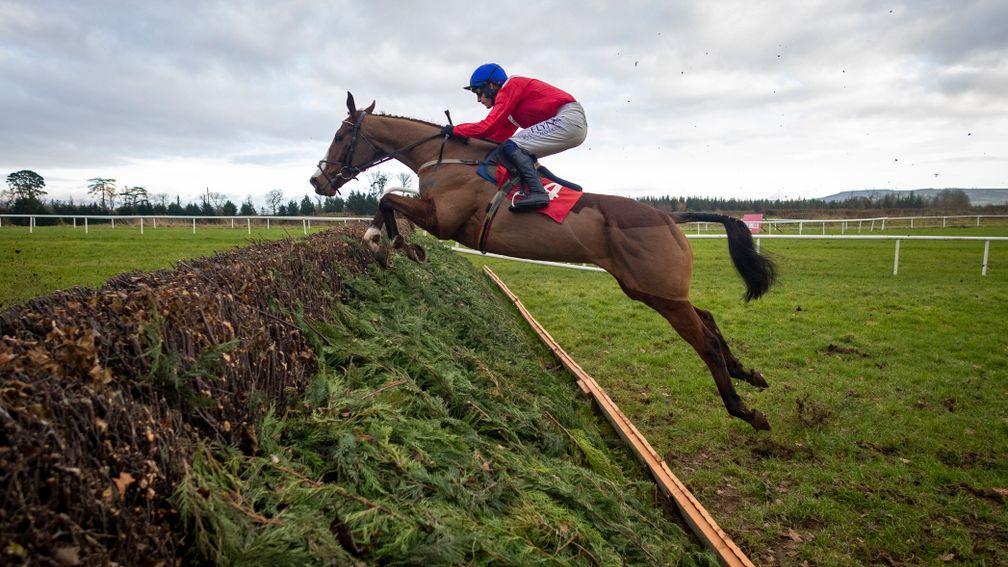 Sir Gerhard: on course for one of the Grade 1 novice chases at Cheltenham