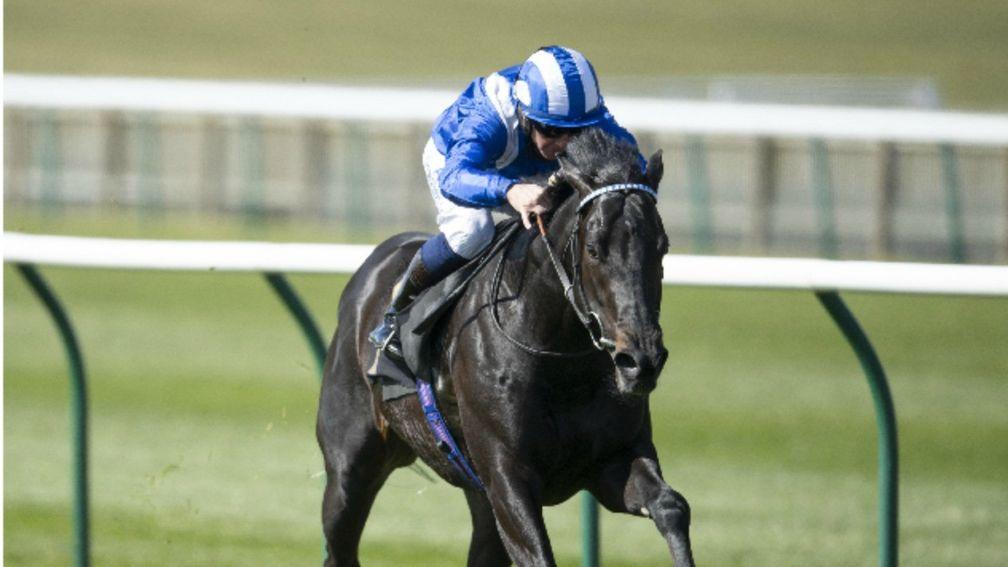 Mutasaabeq was supplemented for the 2,000 Guineas and now heads to the Jersey Stakes