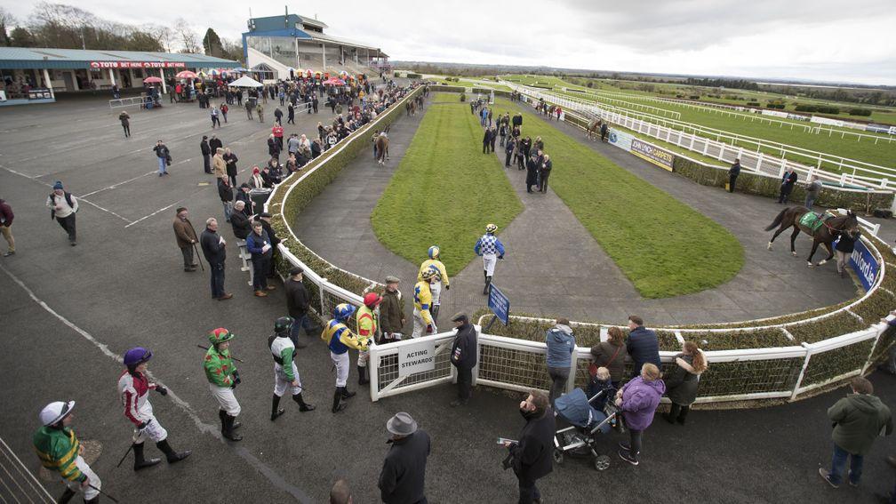 No less than 141 runners take their chance at Navan this afternoon