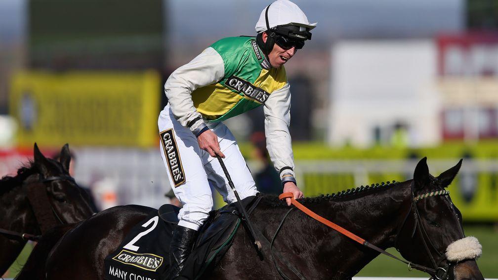 Many Clouds: won 2015 Grand National at Aintree under 11st 9lb