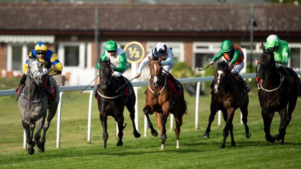 National heroine: Flippa The Strippa (Silvestre de Sousa, left) wins the two-year-old Listed race at Sandown on Thursday evening with runner-up Jm Jackson (right)