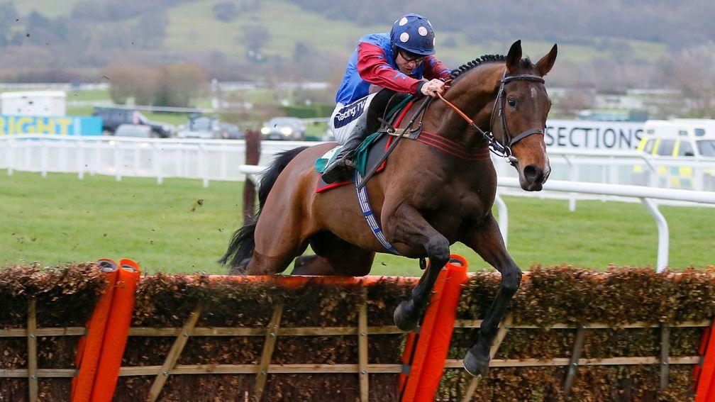 Paisley Park: Lucy Wadham can't see what will beat Emma Lavelle's hurdler at Cheltenham