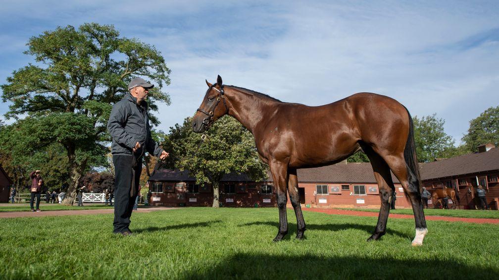 The Dubawi colt out of The Fugue sold for 1,000,000gns and now named Mahomes