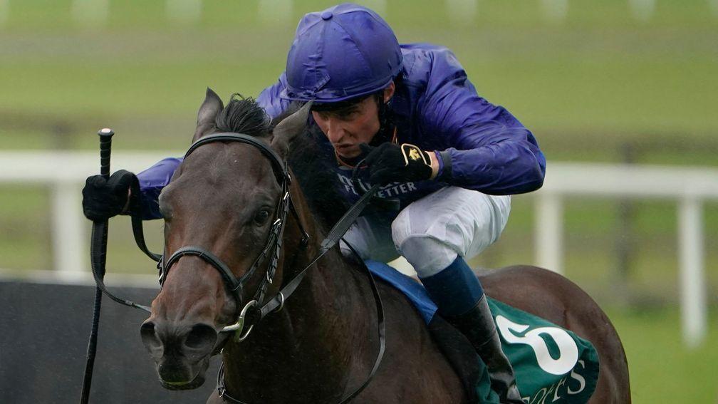 Pinatubo: destroyed his National Stakes rivals by nine lengths