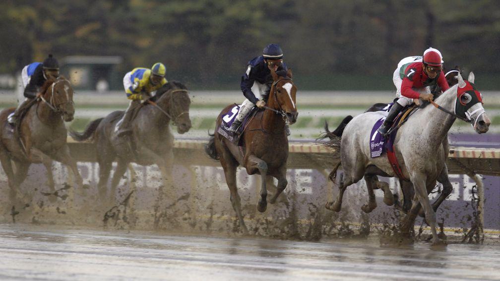Our last glimpse of George Washington, battling the kickback in the Monmouth Park slop