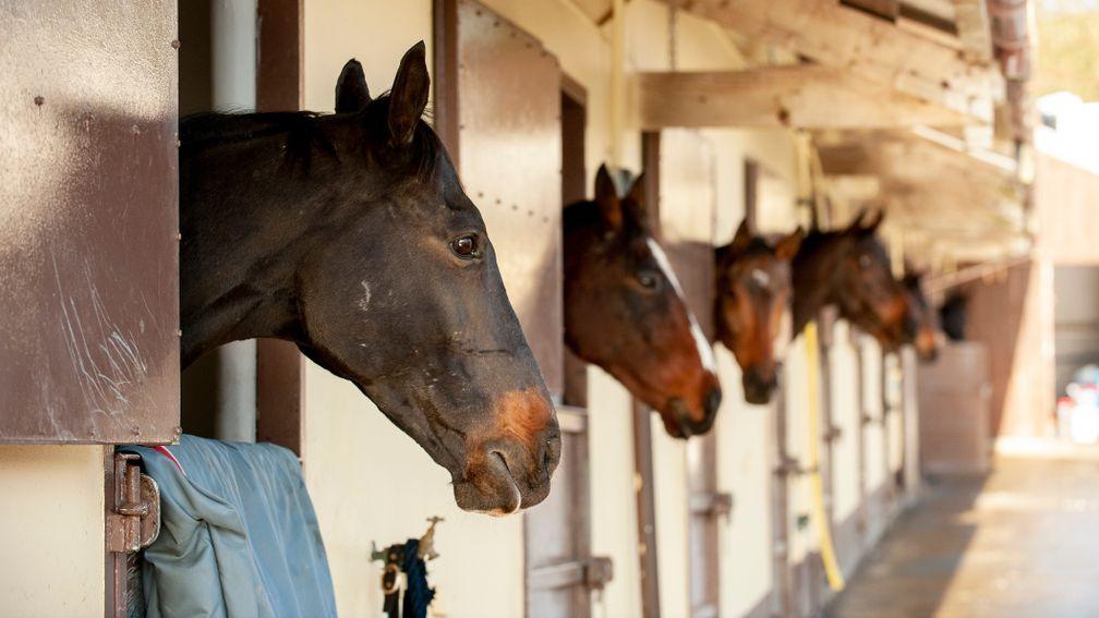 The Horse Welfare Board layed out a five year strategy to provide the highest standards of care through every stage of a racehorse's life