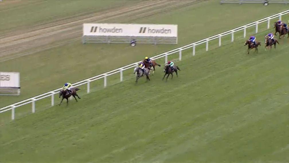As Subjectivist pours it on, Stradivarius is left in fourth