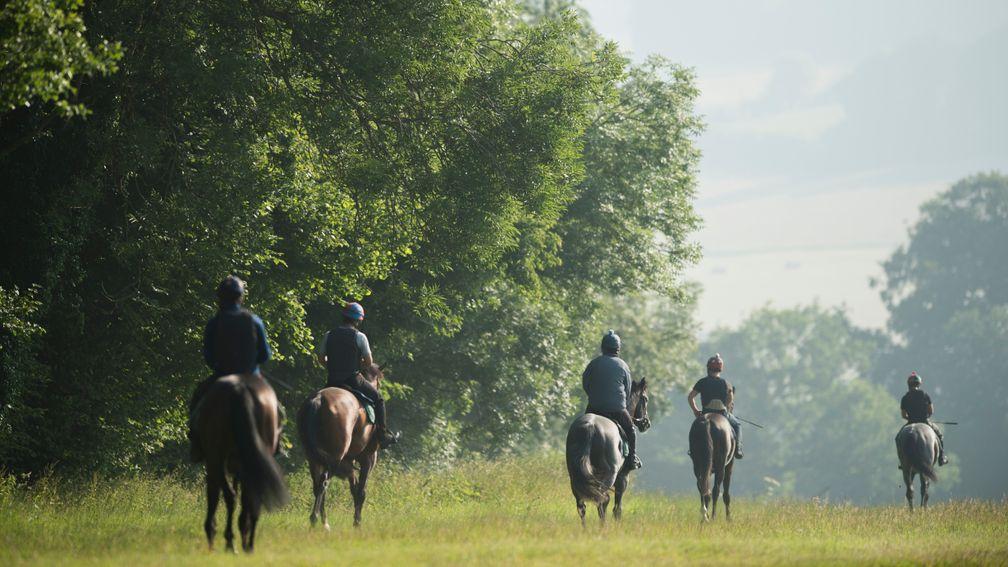 Many members of stable staff are recruited from the EU and beyond