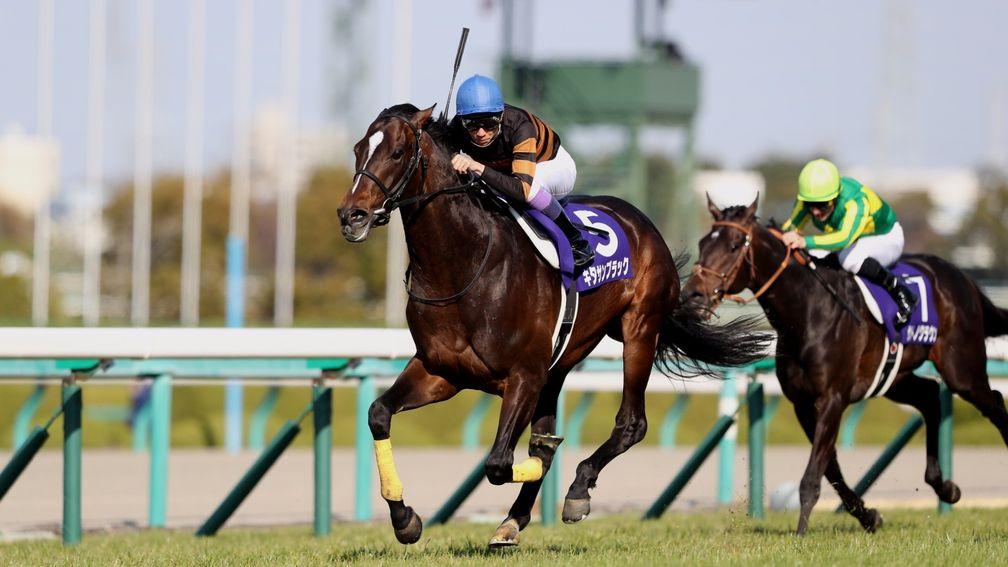 Kitasan Black (Yutaka Take) adds to his Japan Cup laurels with victory in the Osaka Hai, upgraded this year to Grade 1 level