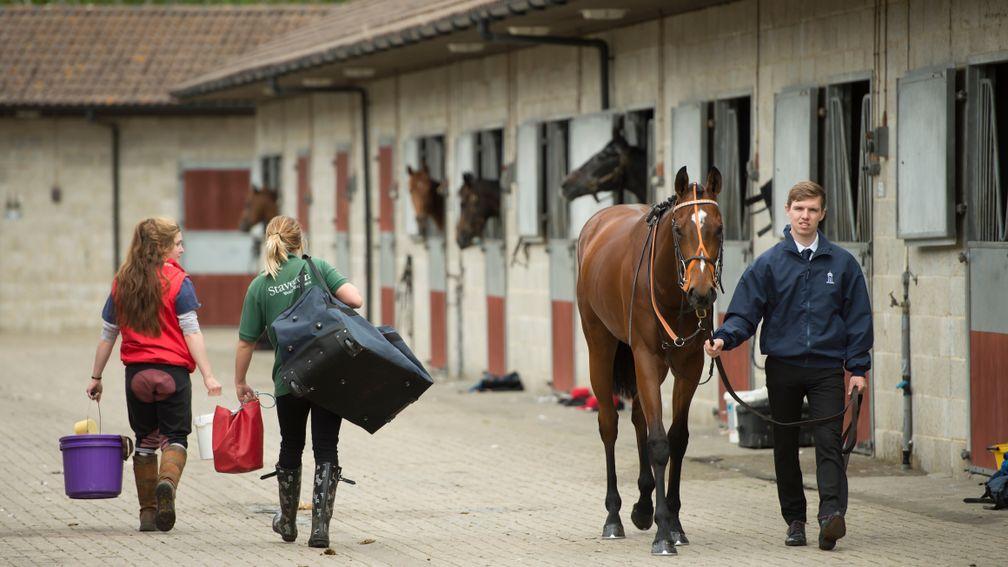 A proposed pay increase for stable staff was one of the issues that was discussed in detail at the trainers' AGM