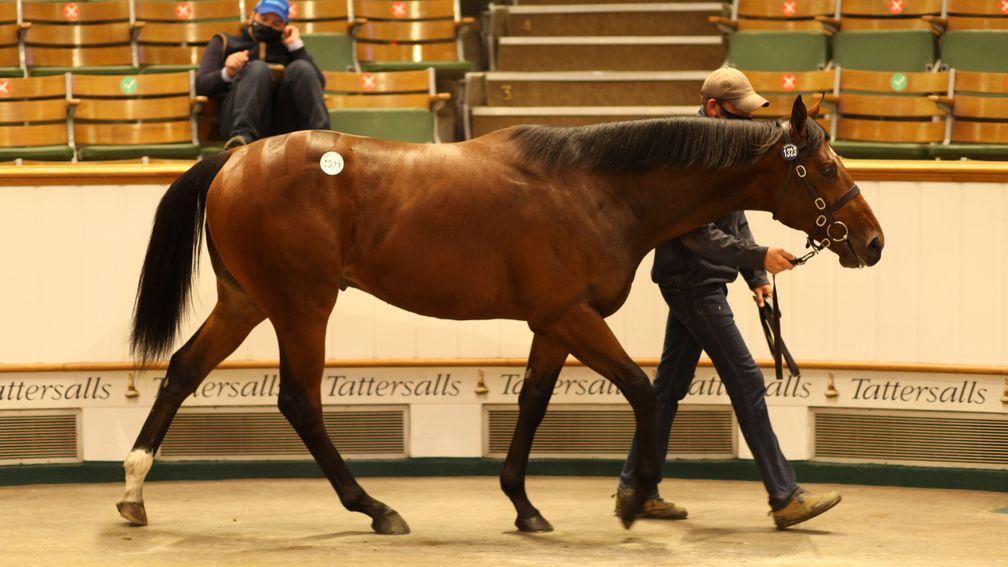 Lot 1,323: the session-topping Starspangledbanner brings 360,000gns from Anthony Stroud