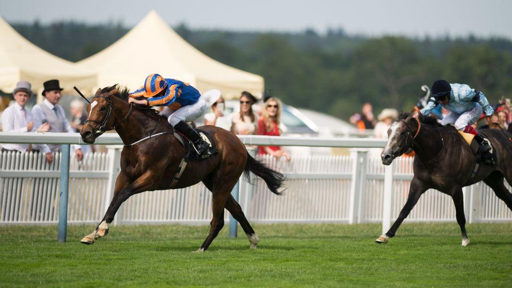 Gleneagles: top-class miler and from an outstanding family