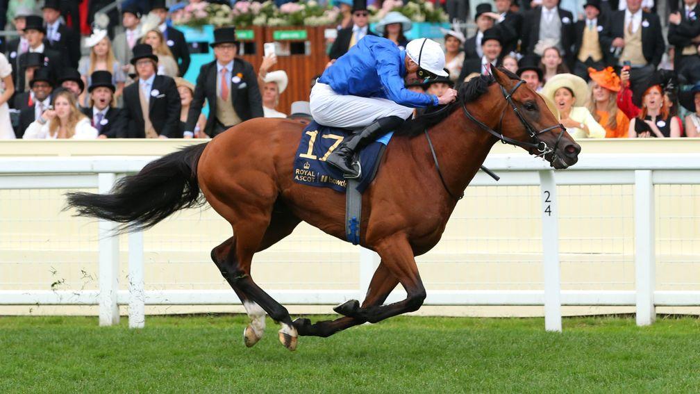 ASCOT, ENGLAND - JUNE 18:  Naval Crown ridden by James Doyle wins The Platinum Jubilee Stakes on day five of Royal Ascot 2022 at Ascot Racecourse on June 18, 2022 in Ascot, England. (Photo by Alex Livesey/Getty Images)