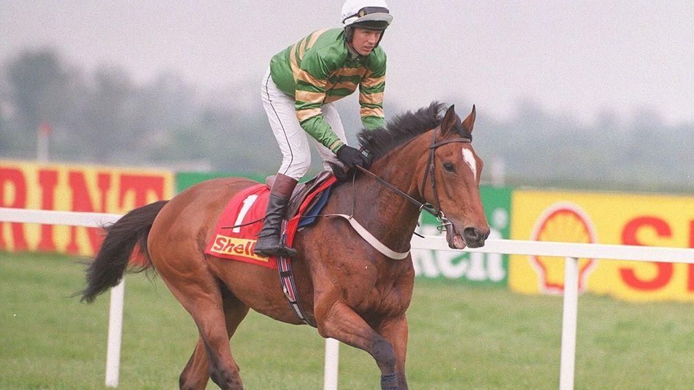 Istabraq: will be featured in the new television series