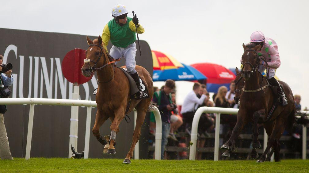 Max Dynamite, pictured chasing home Quick Jack in the 2015 Galway Hurdle, will be having his first start since over jumps in the same race next week