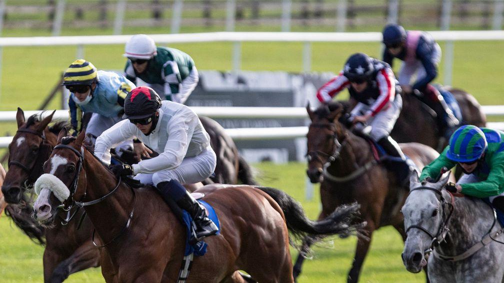 Narynkol finished fourth behind Tonkinese (noseband) in the Apprentice Derby at the Curragh
