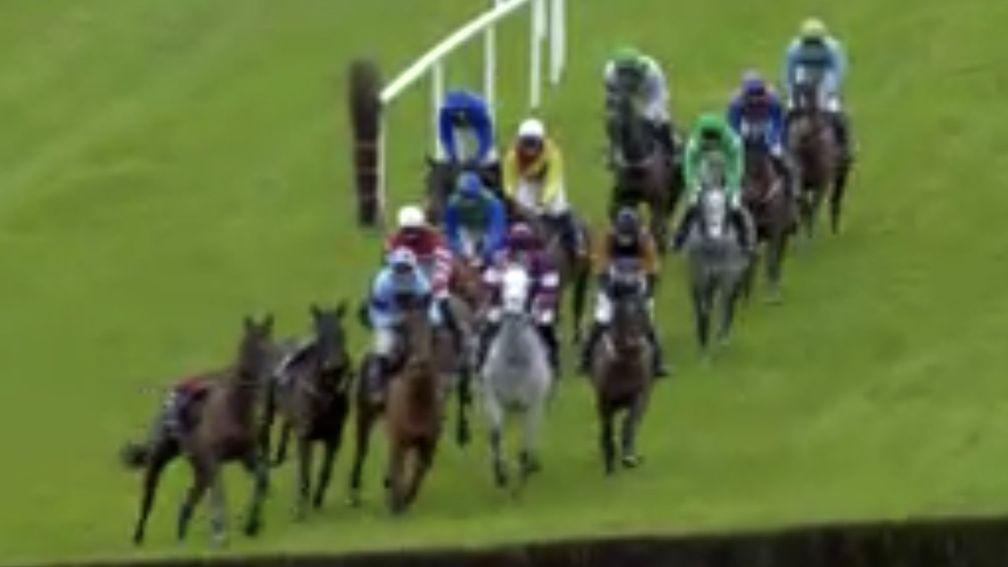 The two loose horses are about to take out the front-runners in the beginners' chase won by Owl Creek Bridge at Punchestown