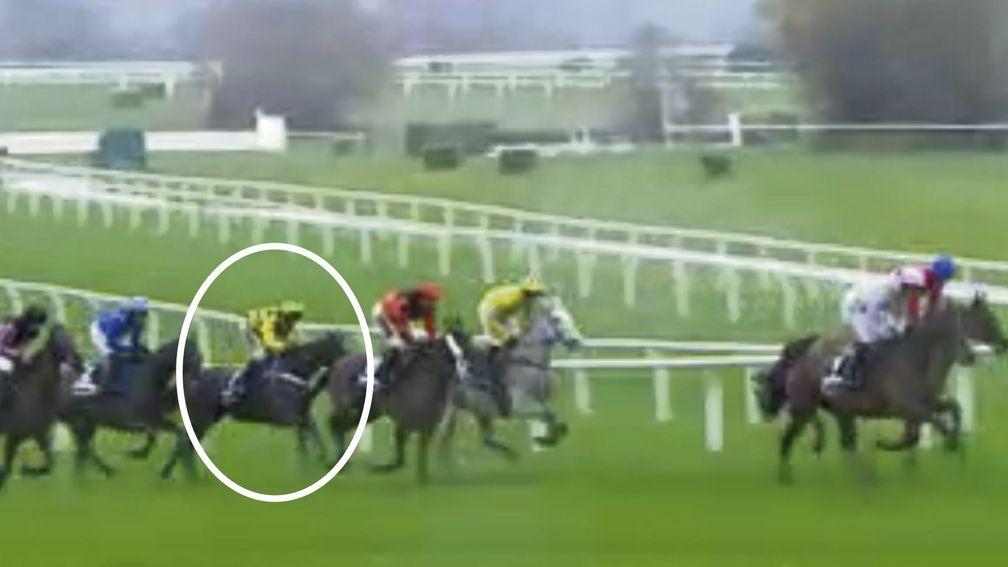 Shishkin (circled) was never travelling in Wednesday's Queen Mother Champion Chase
