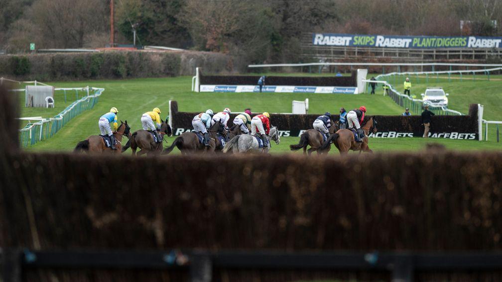 The figure of eight layout at Fontwell offers an unusual viewing experience