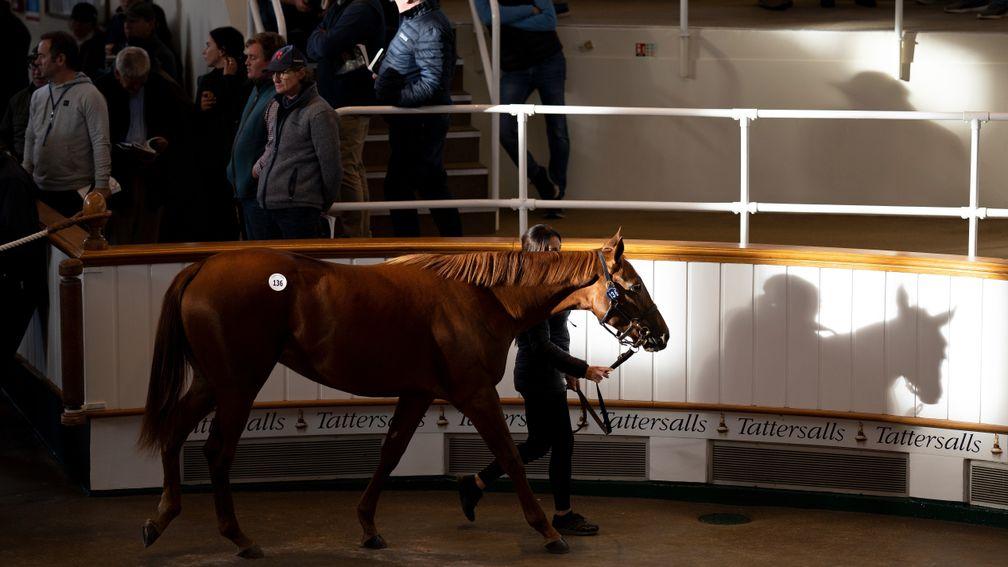 Lot 136, A half brother to Alcohol Free is sold to MV Magnier for 650,000 GuineasNewmarket 4.10.22 Pic: Edward Whitaker