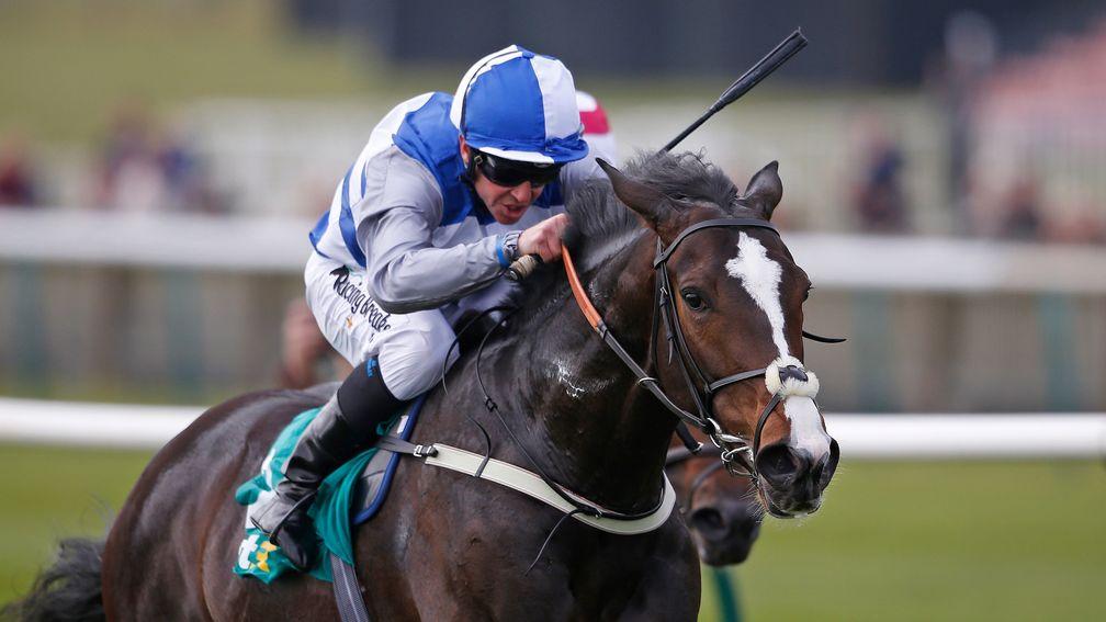 Eminent: found to have minor heart issue after his disappointing run in the Huxley Stakes