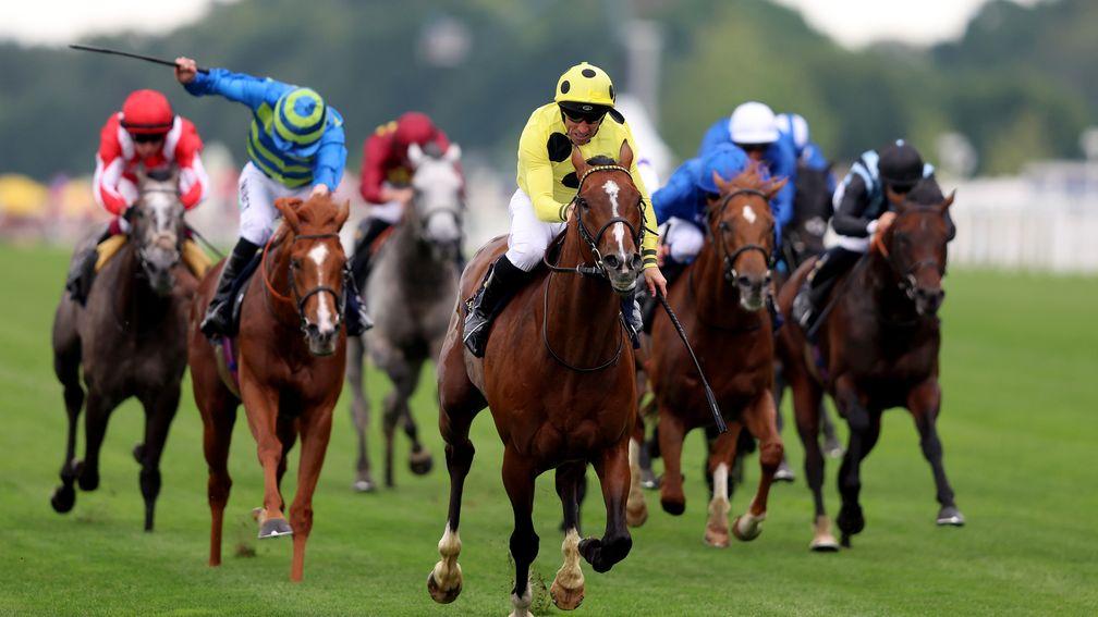 Triple Time: winner of the Queen Anne at Royal Ascot this year