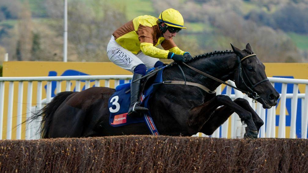 Galopin Des Champs: capable of performing over a number of different distances