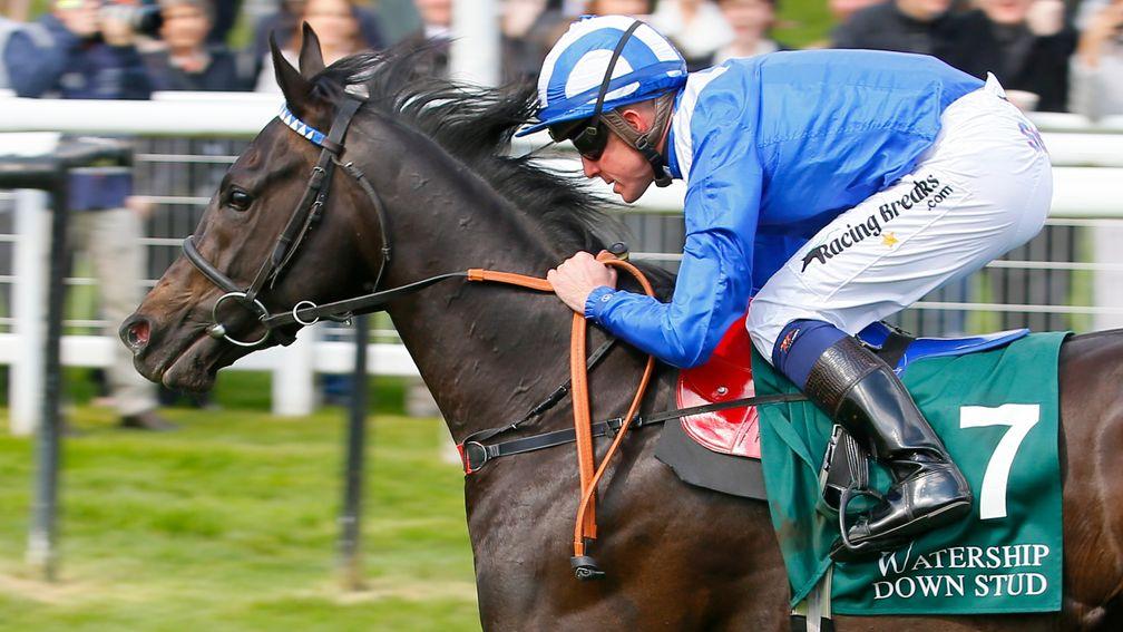 Mohaather: a general 25-1 chance to win the Queen Elizabeth II Stakes at Ascot on October 19