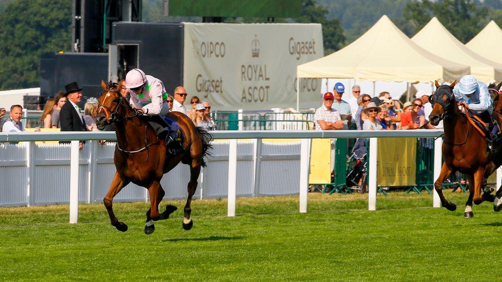 Thomas Hobson was an easy winner of the Ascot Stakes on day one of the meeting