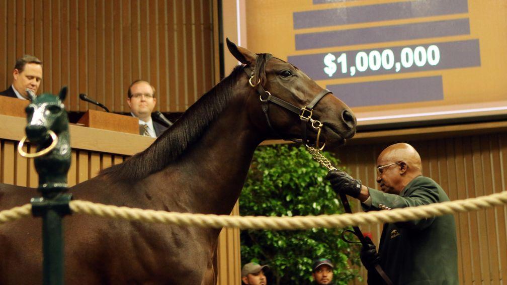 This seven-figure son of Quality Road was bought in partnership with Coolmore