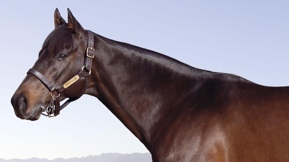 Twice Over: source of two Group 1 winners from his first South African crop