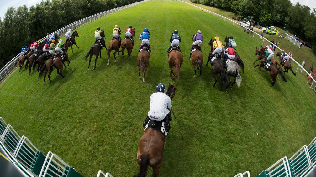 A middle-to-far side draw has a slight advantage in the Stewards' Cup