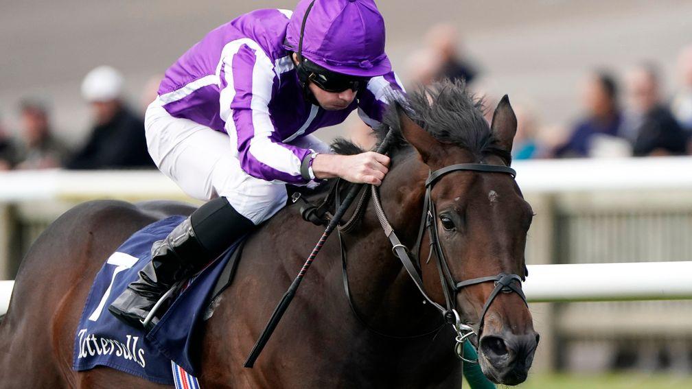 Wichita: receiving each-way support for the 2,000 Guineas