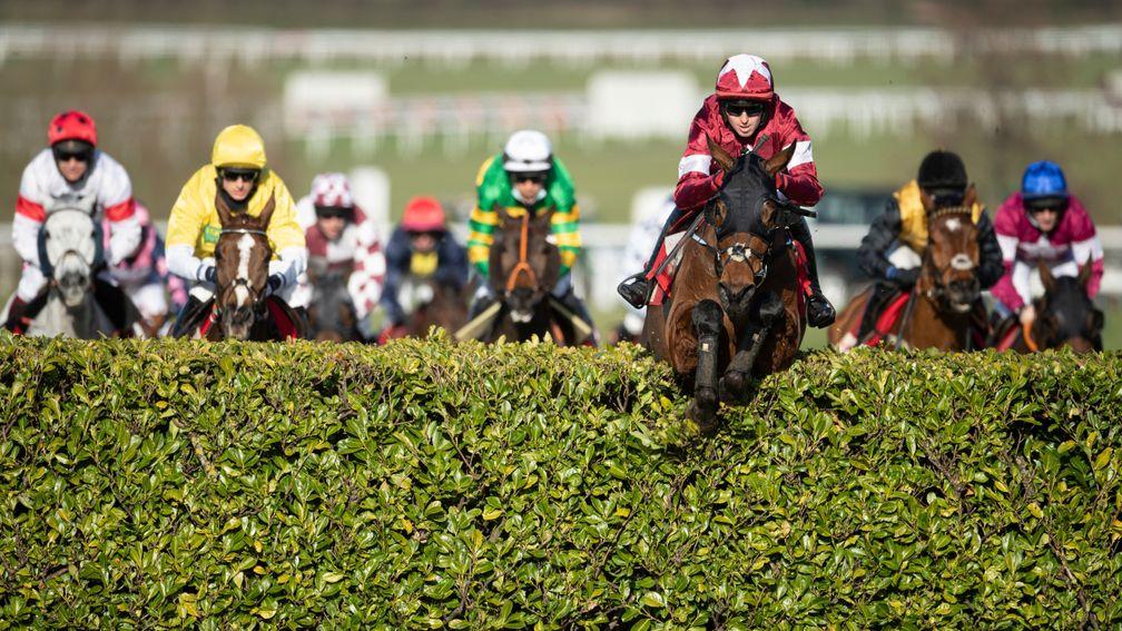 Tiger Roll: will run in the Irish Grand National or the Betway Bowl