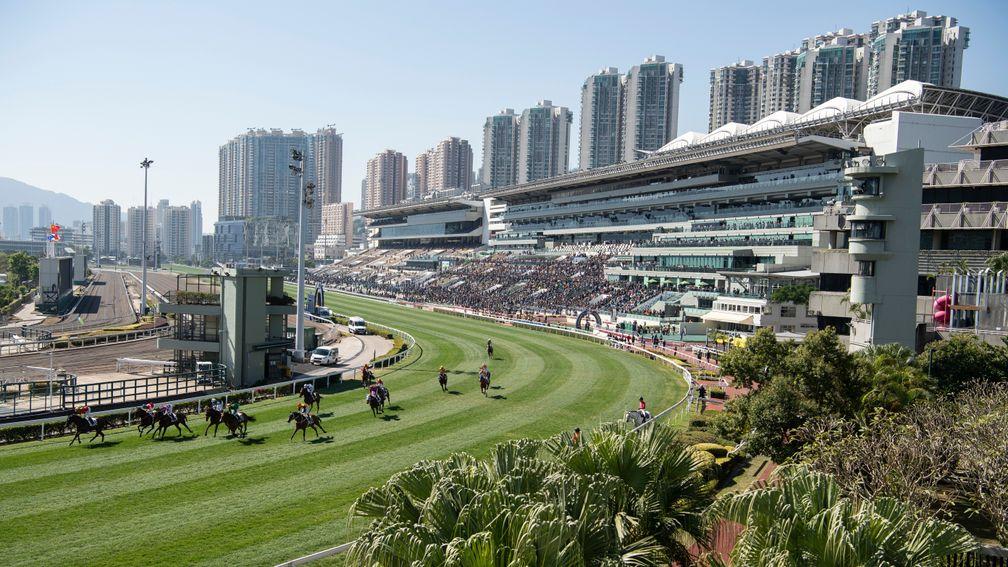 Runners in the Jim And Tonic Handicap at Sha Tin