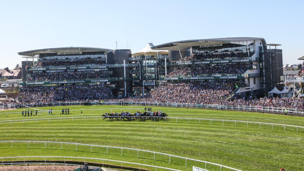 The field pass the stands at Aintree