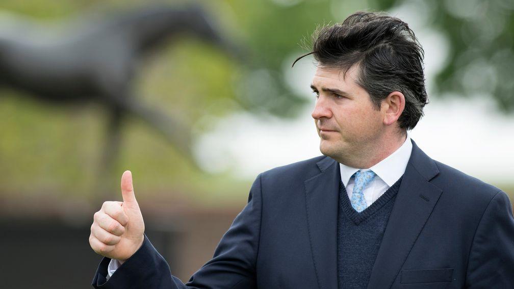 Hugo Palmer: has another promising two-year-old on his hands with Dig Two