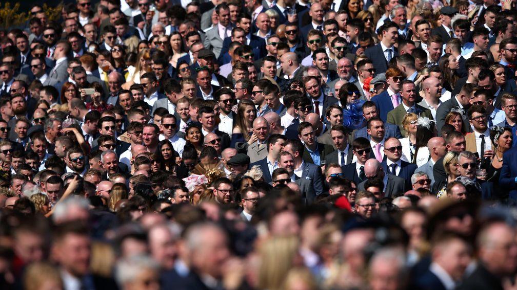 Will next week's Grand National crowd contain activists seeking to spoil the race?