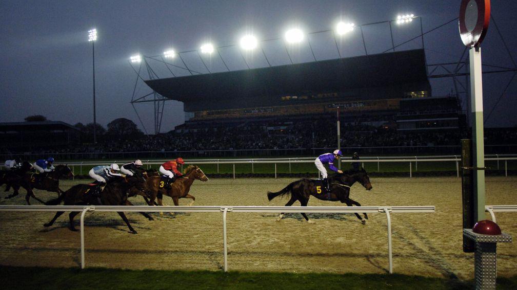 Kempton has become something of a Bermuda Triangle for the weird and wacky in racing