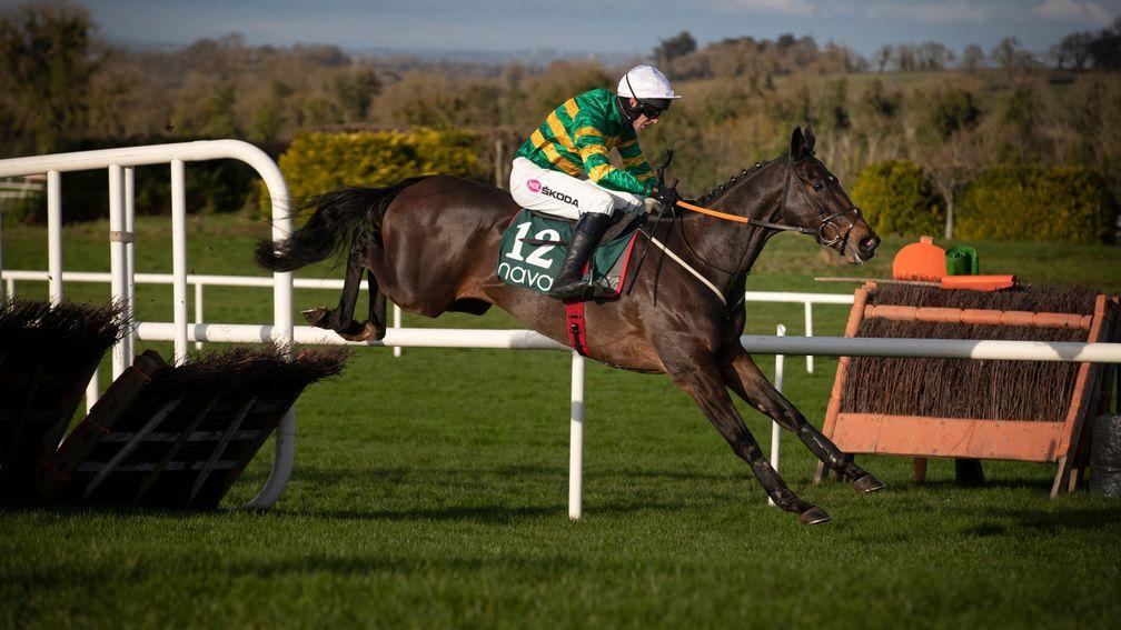 Magic Tricks: now favourite for the Galway Hurdle