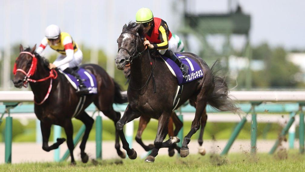 Chrono Genesis and Christophe Lemaire race to victory in the Takarazuka Kinen