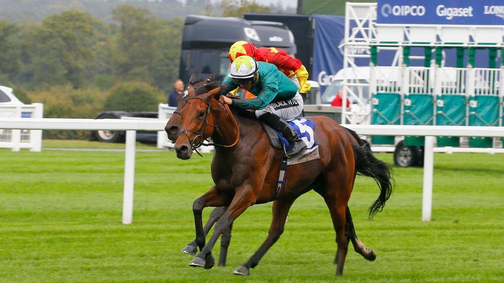 Hereby won the Noel Murless Stakes at Ascot in early October