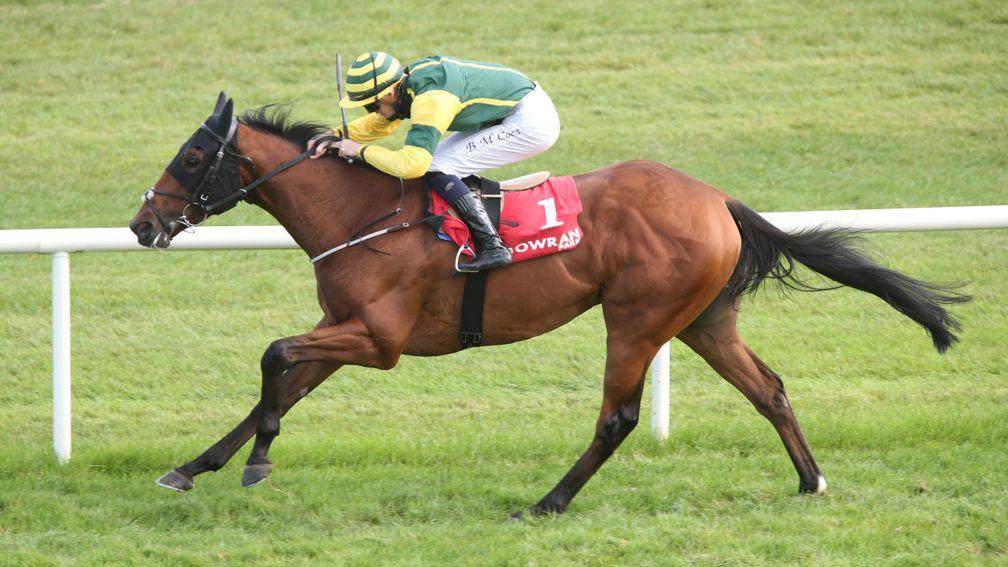 Carrytheone: won at Gowran Park last month for trainer Johnny Murtagh