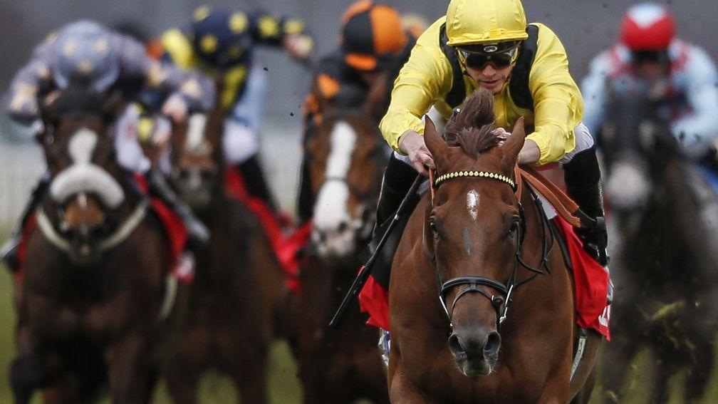 The only one in focus: Addeybb is out on his own with James Doyle in the 32Red Lincoln at Doncaster on Saturday
