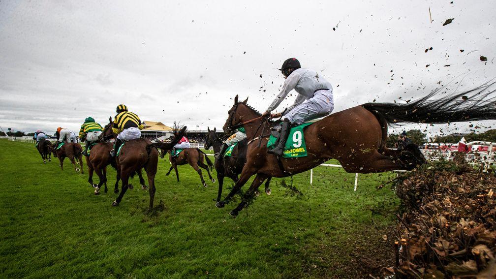 Cabaret Queen (white silks) will be bidding to give Syndicates racing a red-letter day in the Munster National