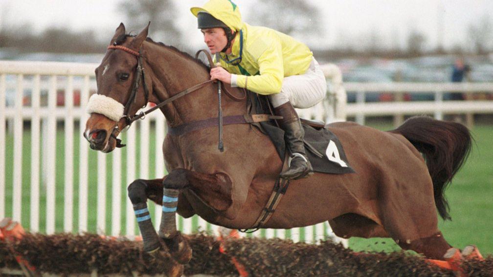 Dato Star: historic winner of the Champion Bumper before proving a northern star over hurdles