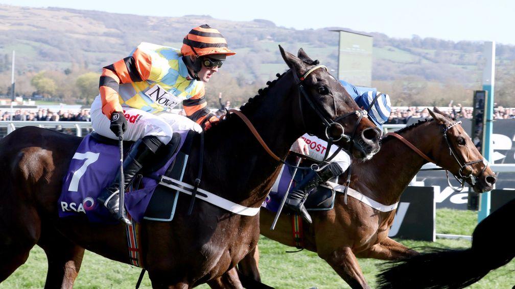 Might Bite (nearside) and Whisper locked together at the finish of the RSA Chase at Cheltenham last month